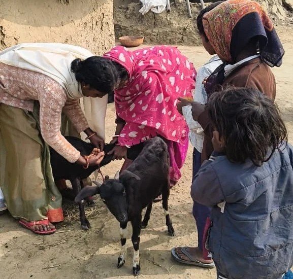 WhatsApp-Image-2026-01-06-at-4.17.15-PM1