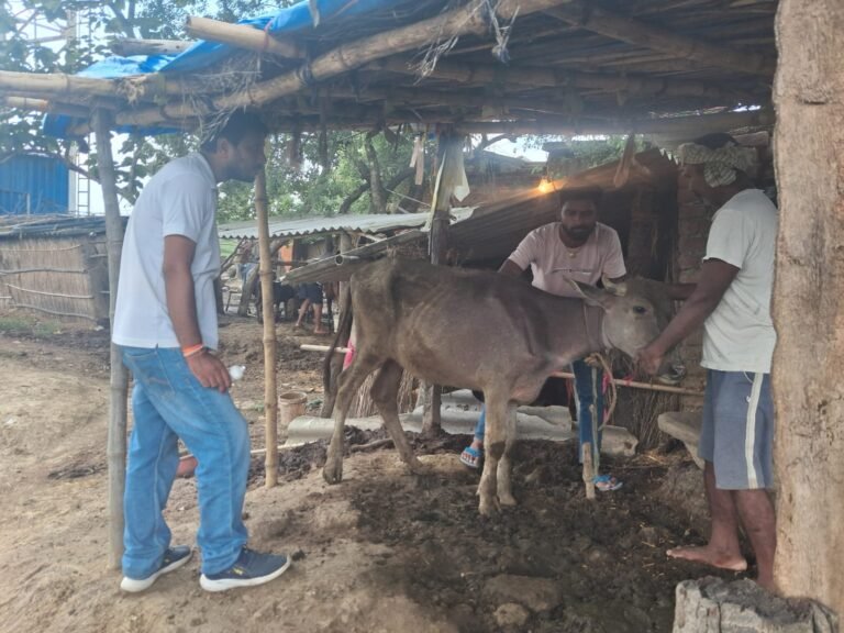 Together with the veterinary department, government of bihar, agragami India is building healthier livestock, stronger livelihoods, and resilient communities.