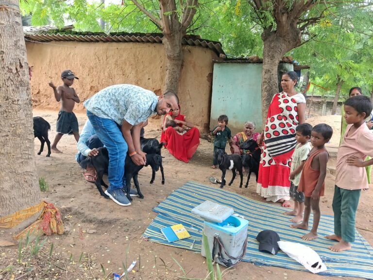 Healthy goats, confident farmers, stronger livelihoods